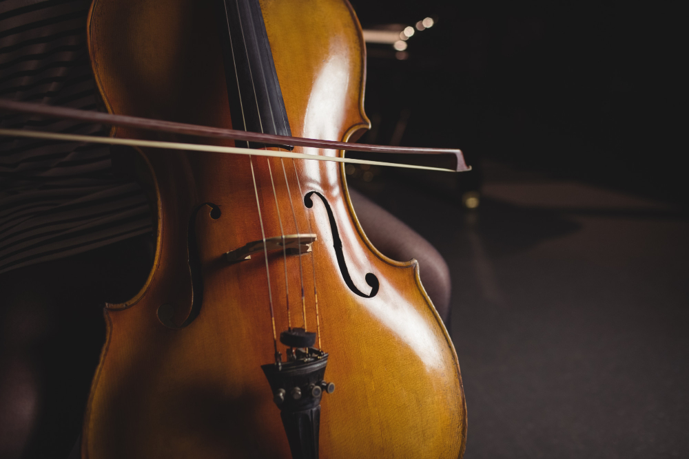 Não é permitido aos alunos(as) levar os instrumentos para a casa, visto que outros alunos e alunas vão utilizá-lo em outras aulas.